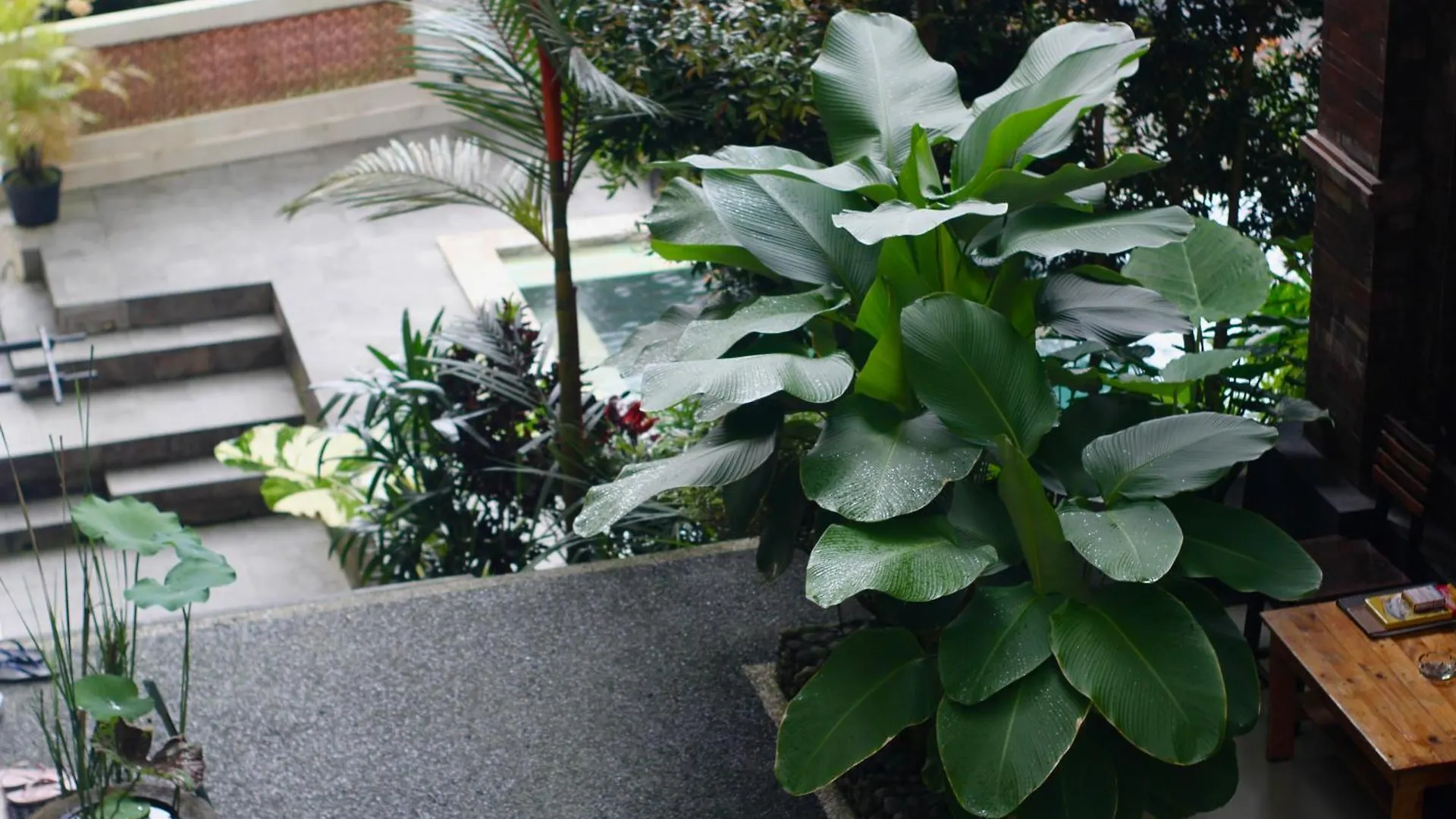 Hanaka Riverside Ubud Guest house
