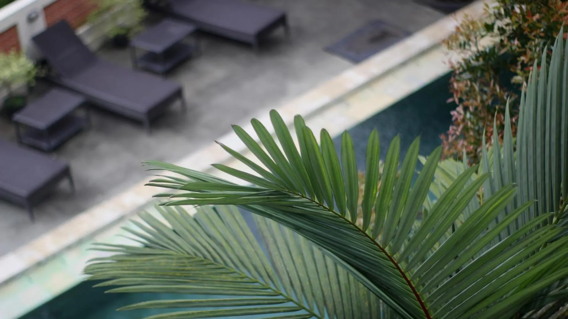 Guest house Hanaka Riverside Ubud