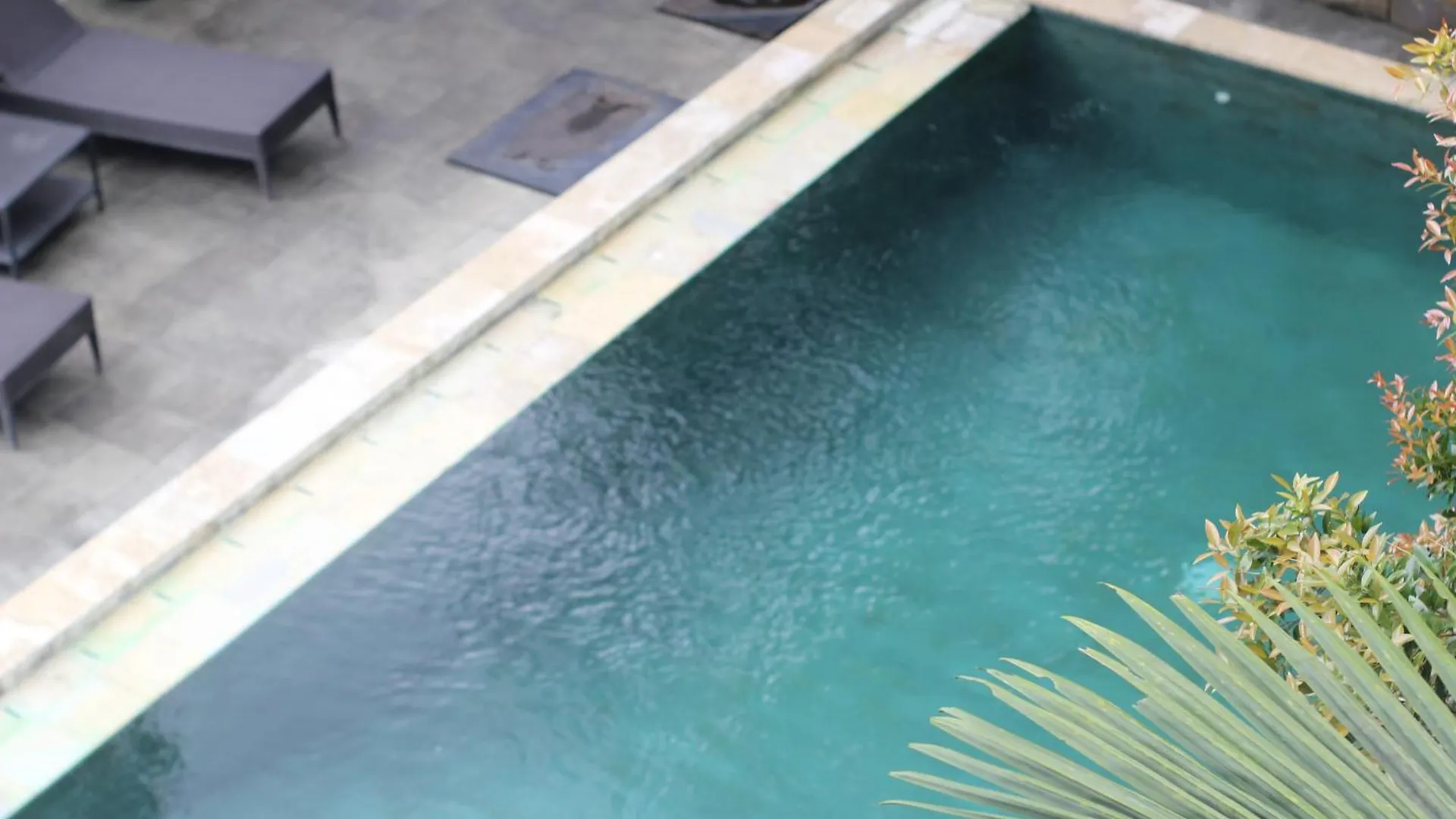 Hanaka Riverside Ubud Guest house